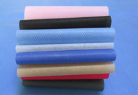 东港涤纶（PET）无纺布是什么