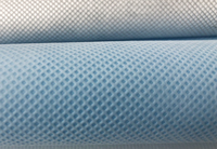 东港(PP)丙纶无纺布跟(PET)涤纶无纺布的区别